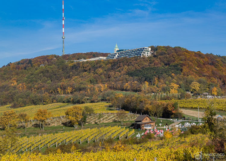 Kahlenberg in the autumn. Located on the outskirts of Vienna