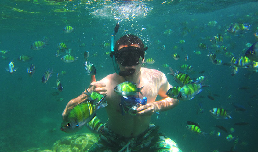 Swimming with fish in Thailand