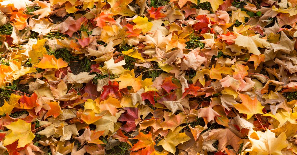 Seasons and Travel Photography Seasons and Travel Photography