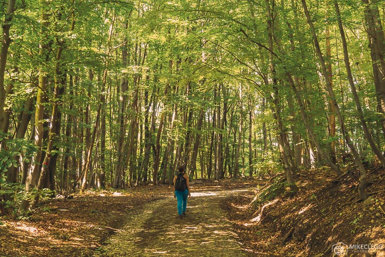 Hiking in the Vienna Woods