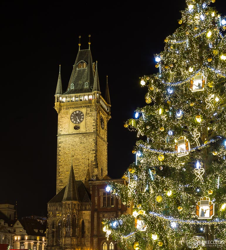 Christmas Trees and Cities at night