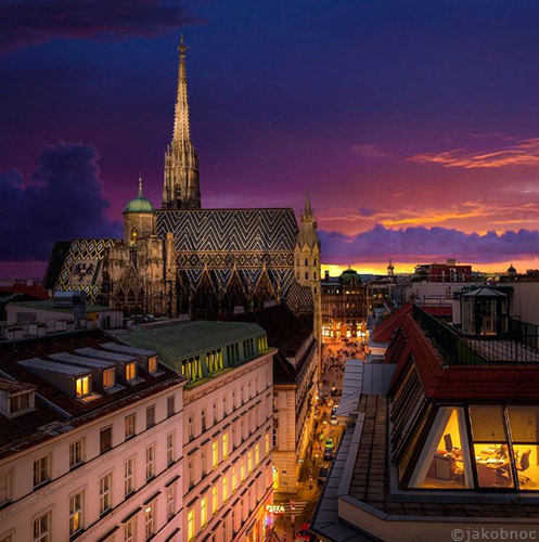 Cafe Bloom | Image by jakobnoc