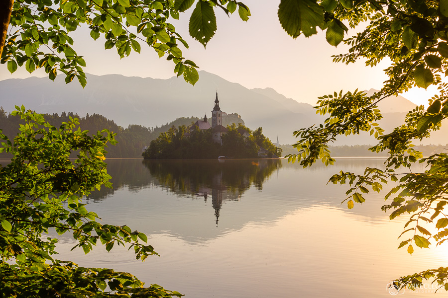 Bled at Sunrise