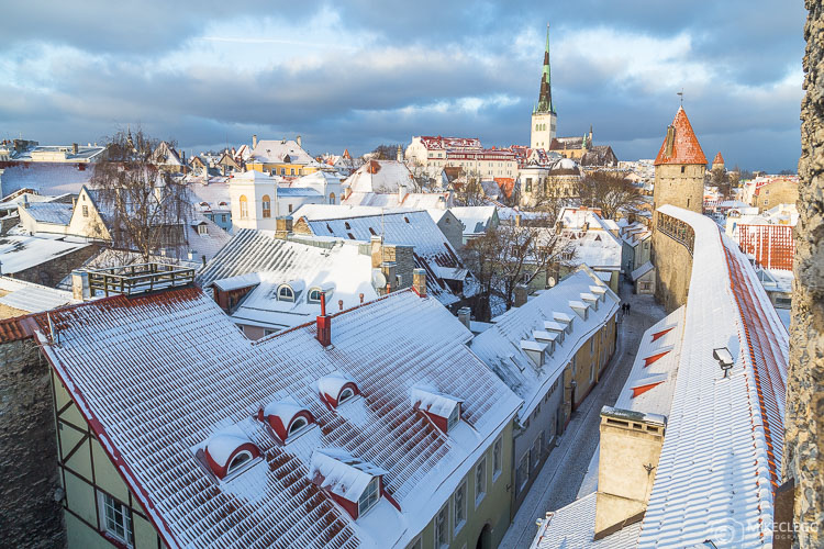 View from Hellemann Tower and Town Wall