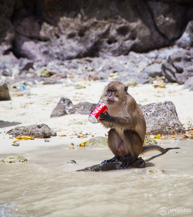 Monkey Beach, Ko Phi Phi