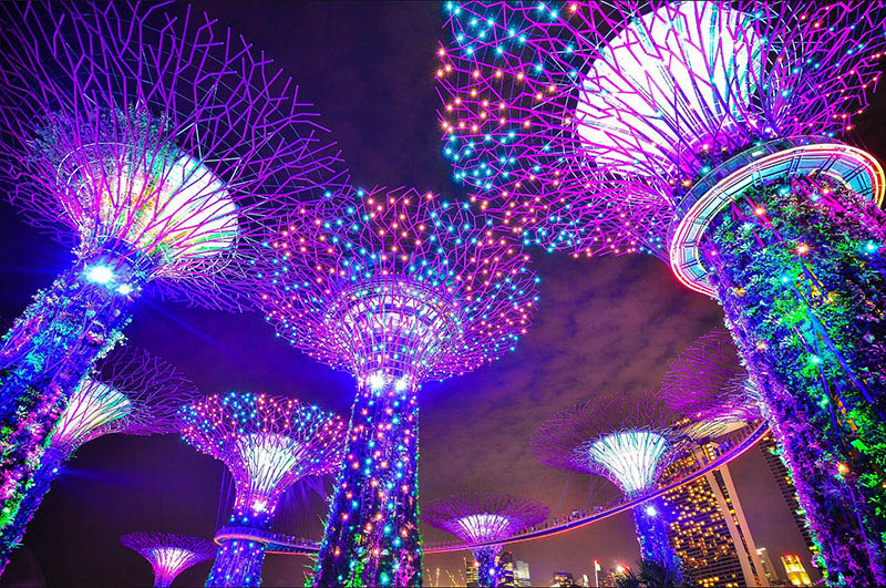 Singapore: 10 Best Tours and Activities Gardens by the Bay Singapore- Via Pixabay-1896765