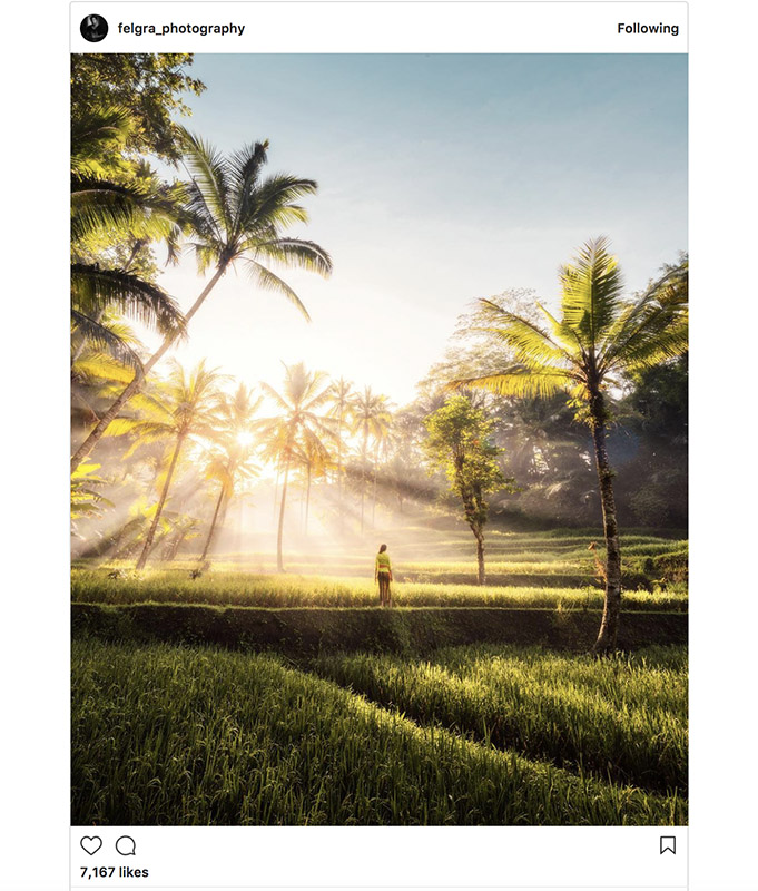 Felgra_photography on Instagram