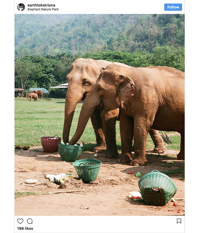 earthtokatriona on Instagram