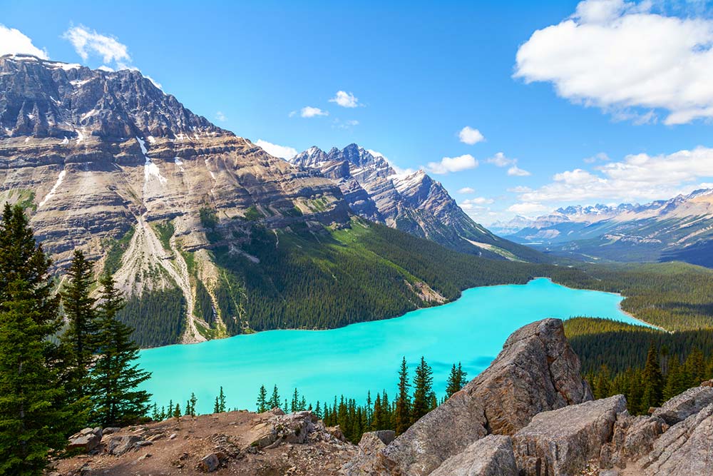 Peyto Lake in the summer