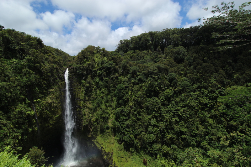 Akaka Falls State Park