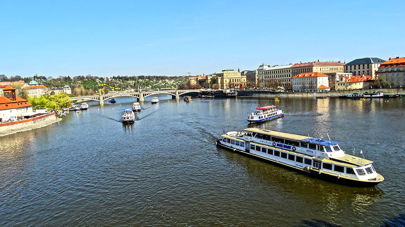 Pragues in Prague