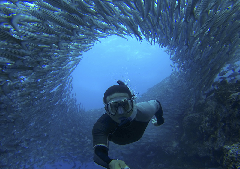 Galapagos Underwater School of Fish - Via G Adventures