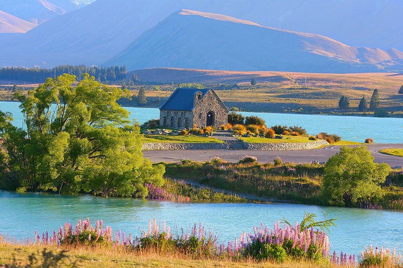 12 Things to Know When Planning a Trip to New Zealand
