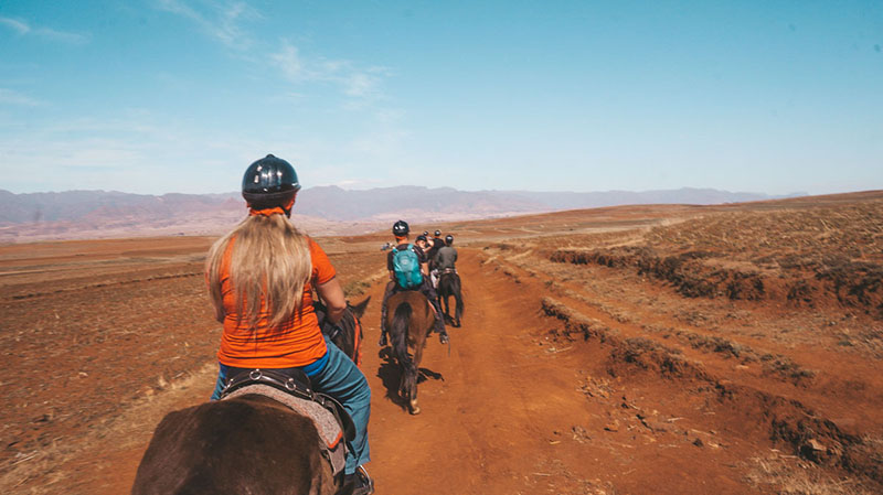 Looking above the clouds on the Amphitheatre hike