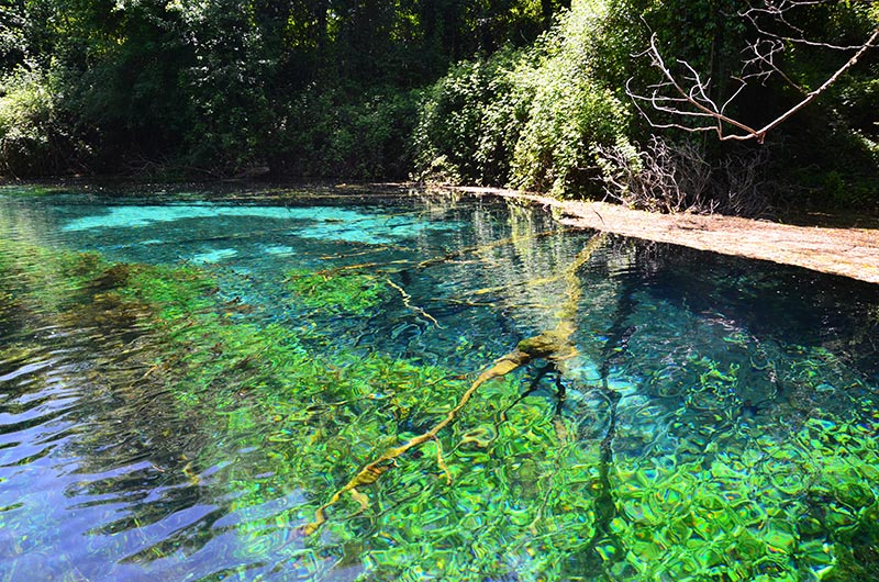 Pond at Monastery of Saint Naum, Macedonia
