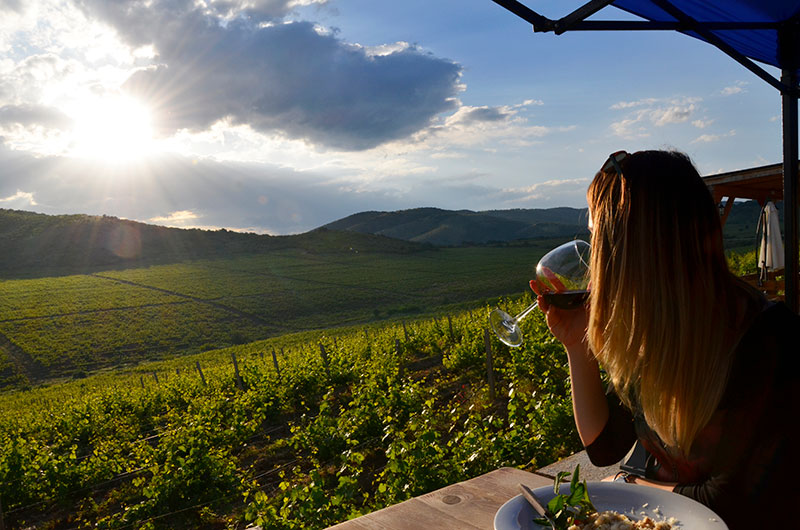 Vineyards along River Vardar