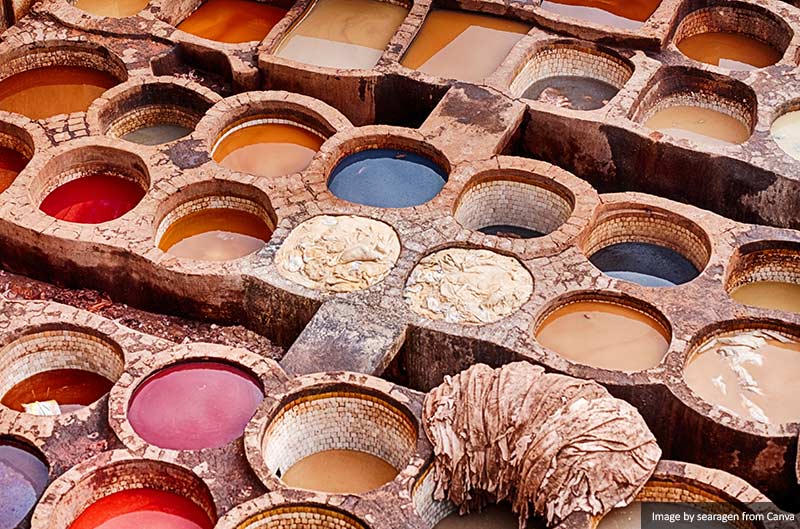 Leather Tannery in Fes