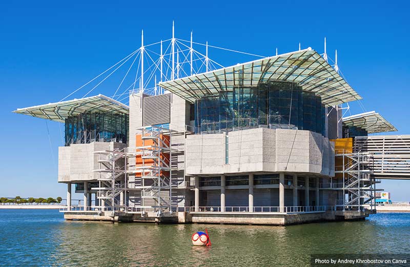 The Lisbon Oceanarium