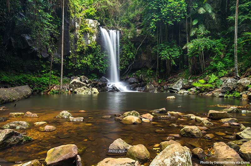 Curtis Falls in Mount Tamborine National Park