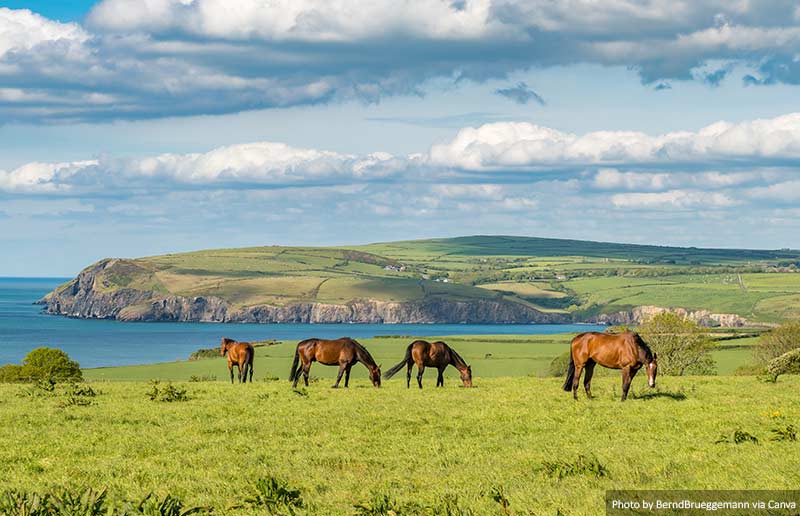 Pembrokeshire coast