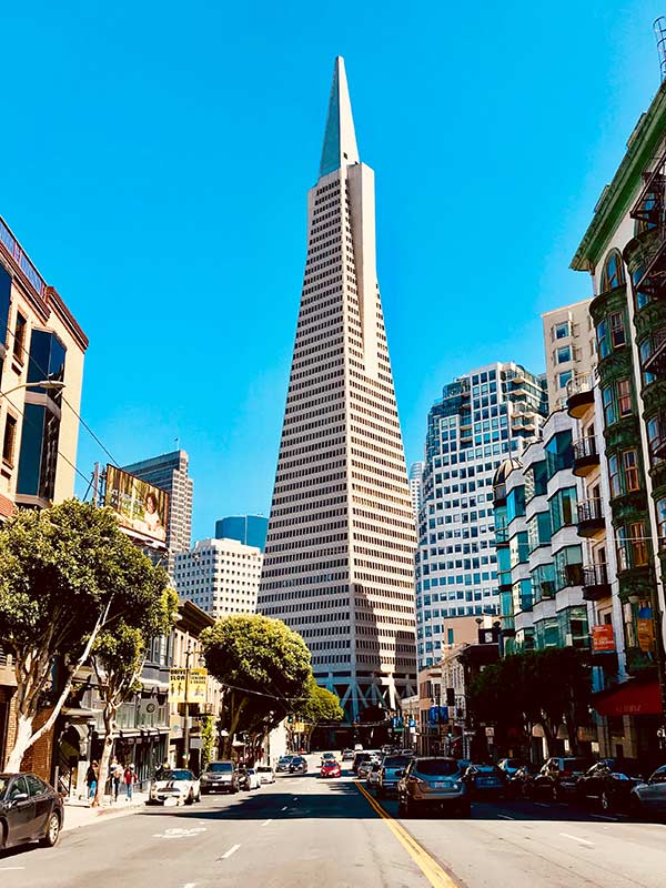 Transamerica Pyramid during the day