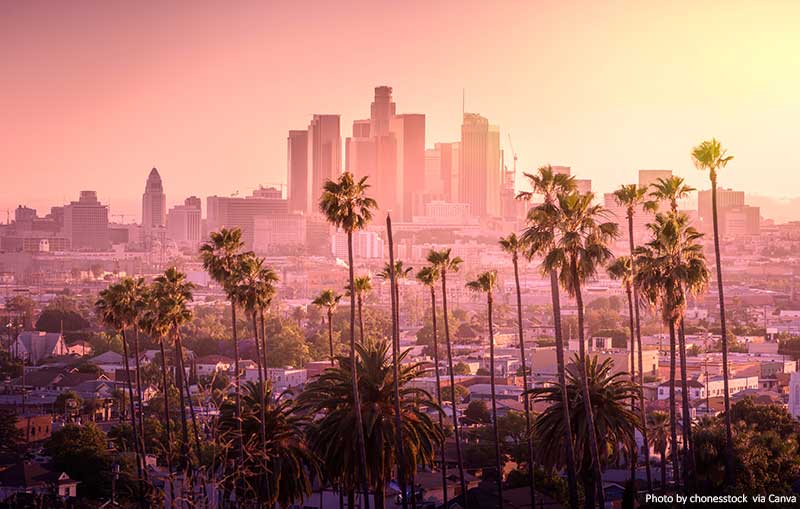 10 Fantastic Things to Do When Visiting Los Angeles (USA) Los Angeles skyline and palm trees