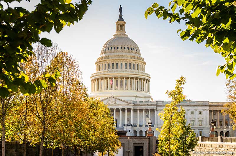 10 Best Things to Do When Visiting Washington, D.C. (USA) Washington D.C