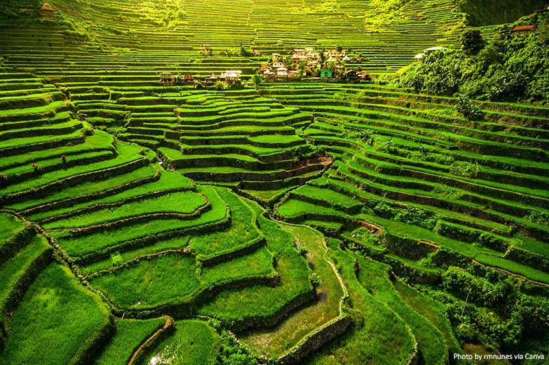Batad Rice Terraces in North Luzon, Philippines