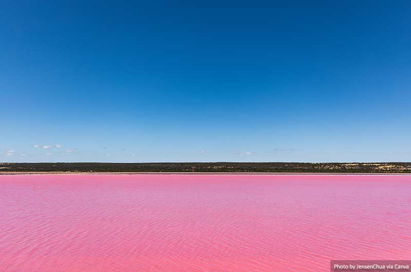 Hutt Lagoon