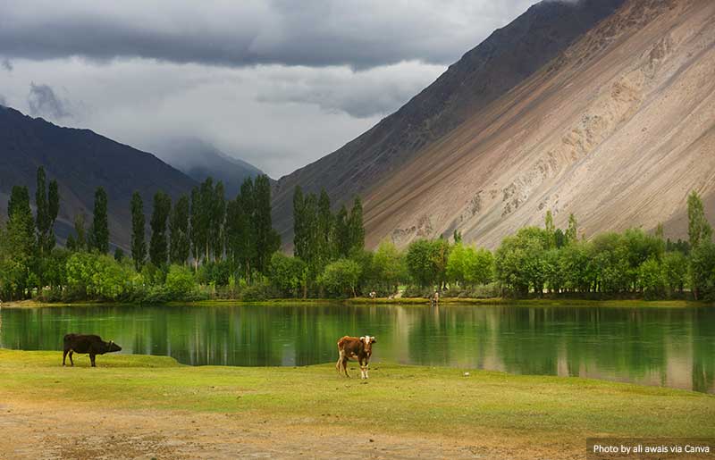 Phandar Valley