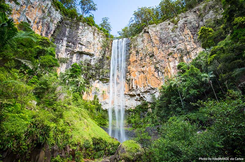 Purling Brook Falls, Springbrook National Park