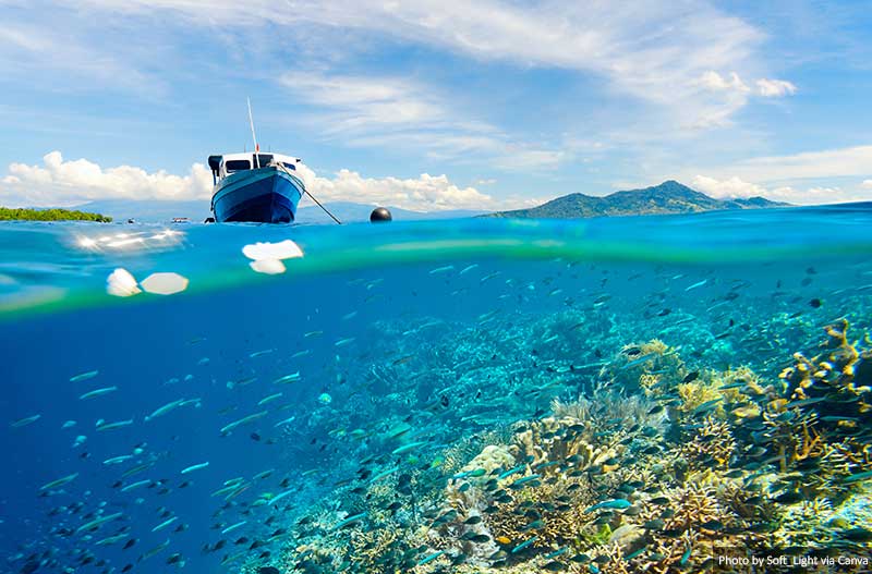 10 Stunning Places to Go Scuba Diving in Indonesia