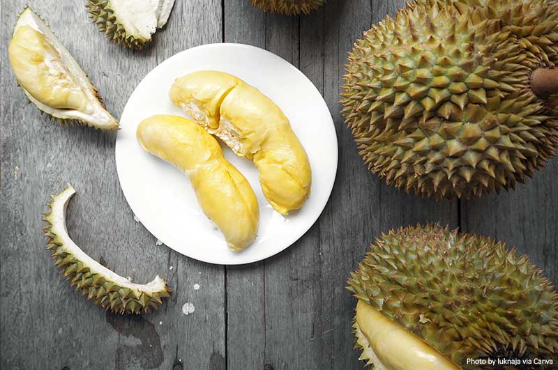 Durian