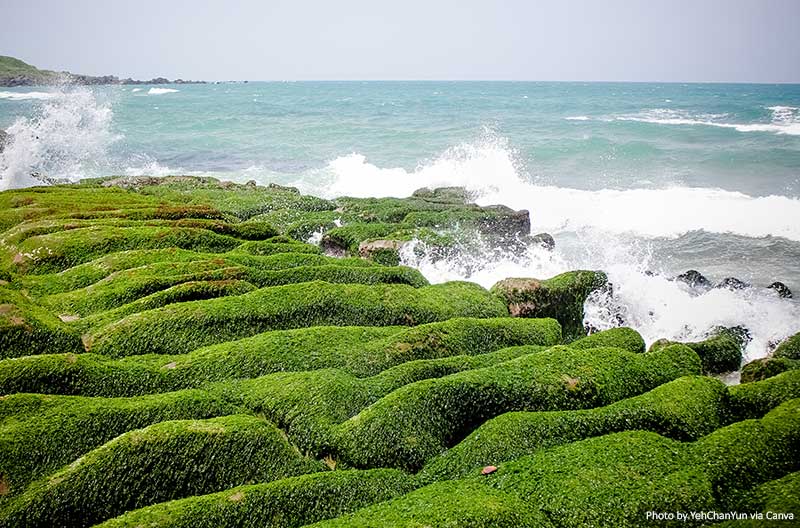 Laomei Green Reef, Taiwan