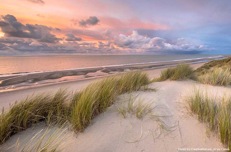A Travel Guide to the Dutch Wadden Islands View over North Sea from dune