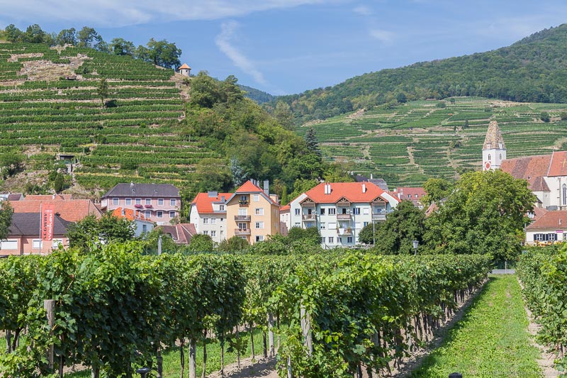 Villages and vineyards in Wachau Valley