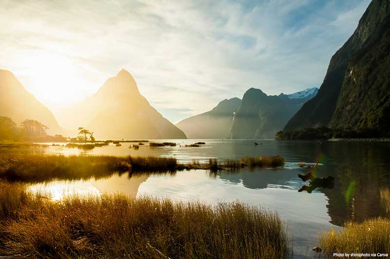 10 Must-See Natural Highlights on New Zealand’s South Island New Zealand South Island - Natural Highlights
