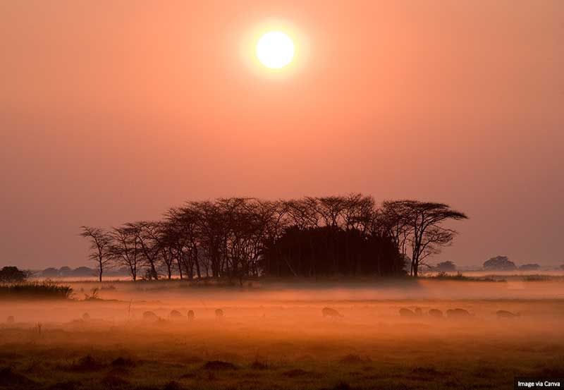 Sunrise in the Kafue National Park, Zambia