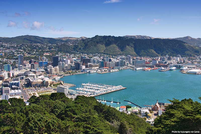 Top Things to Do in and Around Wellington (New Zealand) Wellington Skyline, New Zealand