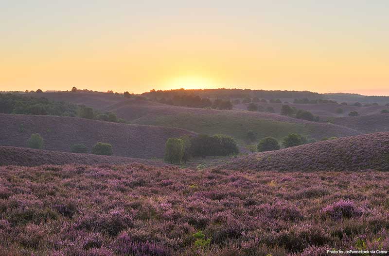 10 Best National Parks in the Netherlands