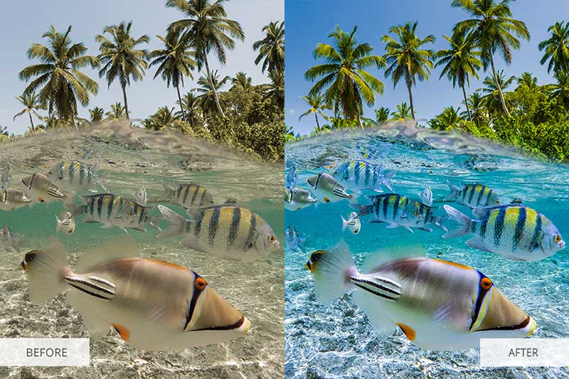 Lightroom Presets and Photoshop Actions for Landscape and Travel Photography (20 Top Options) underwater-photoshop-actions