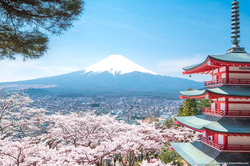 A Travel Guide for Visiting Mount Fuji in Japan Mount Fuji views with Cherry Blossoms