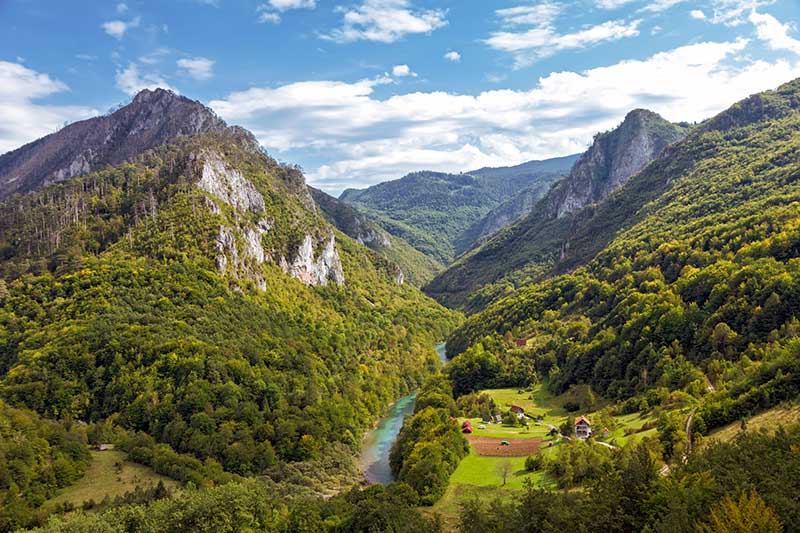 Tara Canyon landscape. Durmitor National Park
