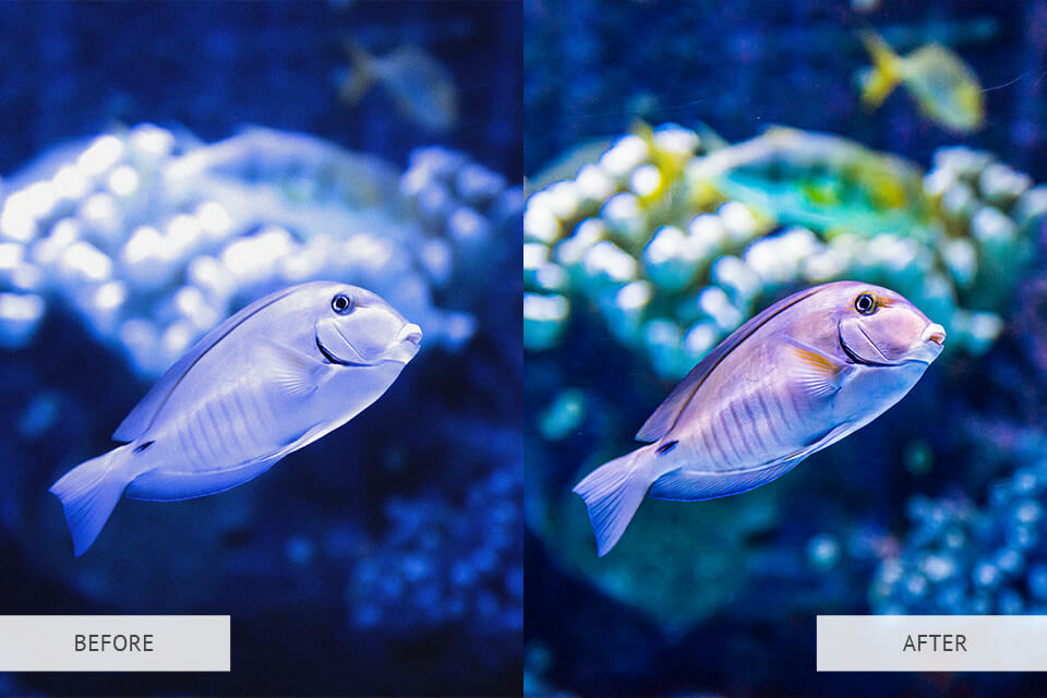 Underwater Light Nature Preset