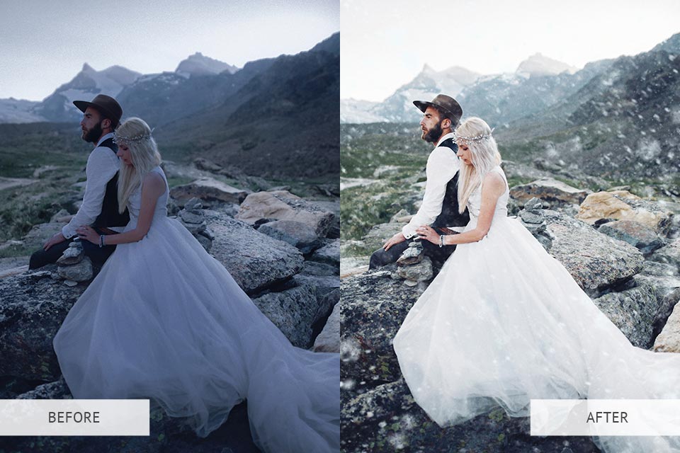 Winter - Premium Collection