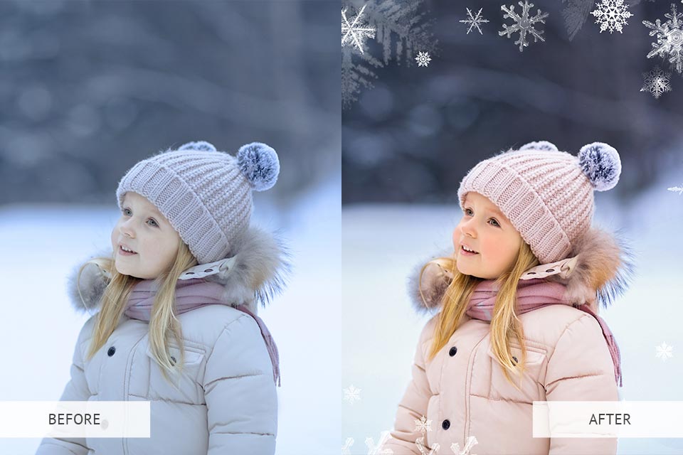 Winter snowflakes overlays