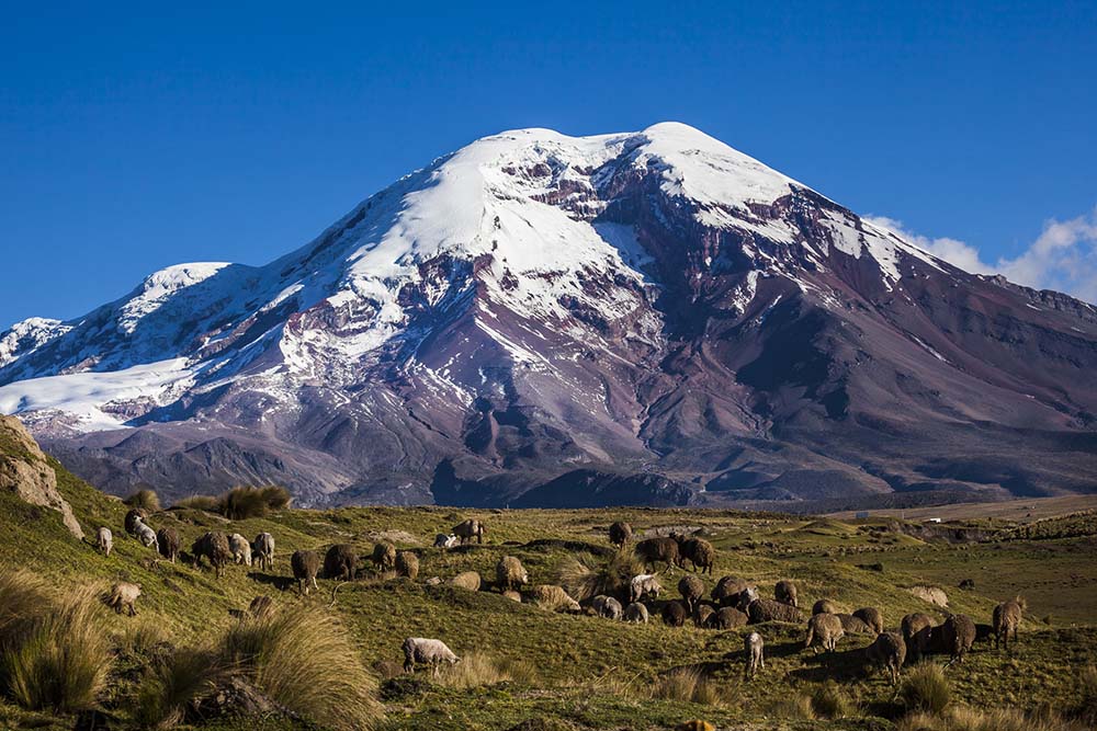 Chimborazo Volcano in Ecuador