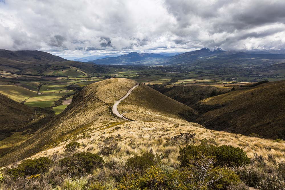 Ecologica Los Illinizas