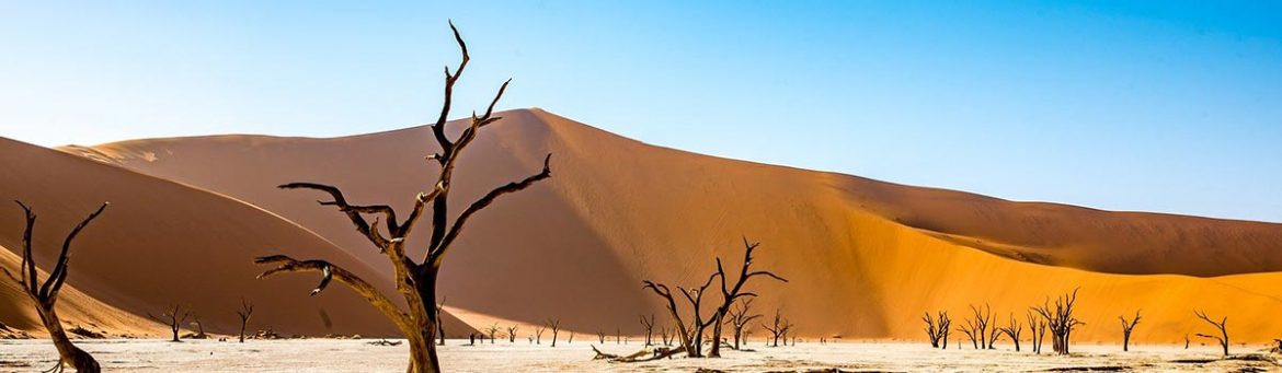 Book Namibia - Featured Image
