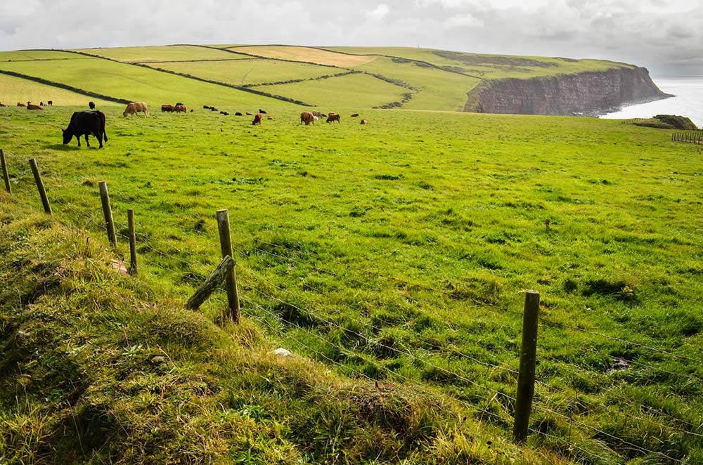 Coast to Coast Trail